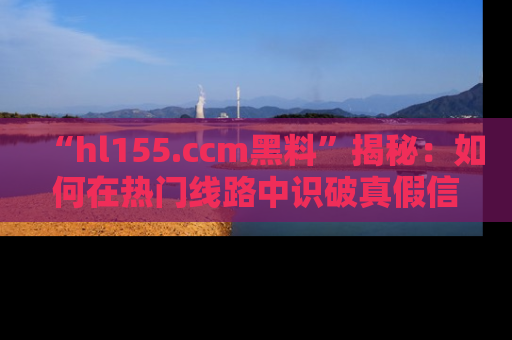 “hl155.ccm黑料”揭秘：如何在热门线路中识破真假信息