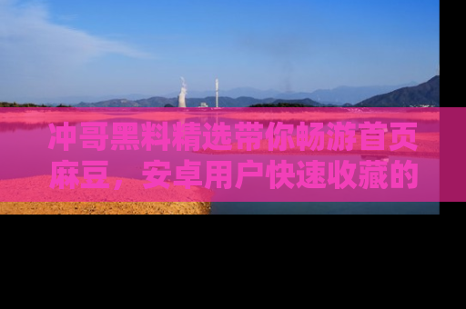 冲哥黑料精选带你畅游首页麻豆，安卓用户快速收藏的秘密武器！