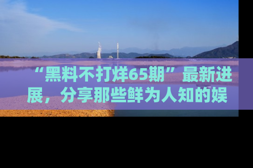 “黑料不打烊65期”最新进展，分享那些鲜为人知的娱乐八卦