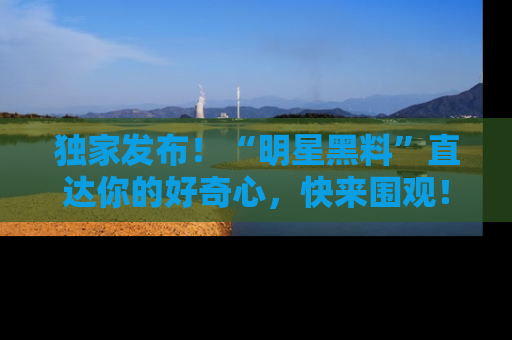独家发布！“明星黑料”直达你的好奇心，快来围观！