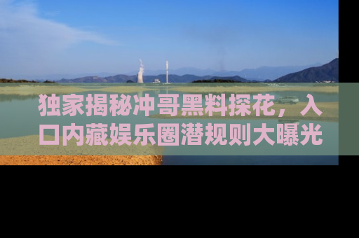 独家揭秘冲哥黑料探花，入口内藏娱乐圈潜规则大曝光