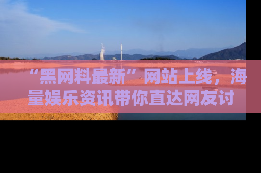 “黑网料最新”网站上线，海量娱乐资讯带你直达网友讨论的中心！