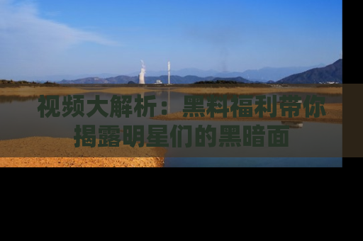 视频大解析：黑料福利带你揭露明星们的黑暗面