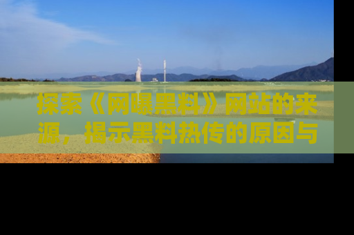 探索《网曝黑料》网站的来源，揭示黑料热传的原因与影响