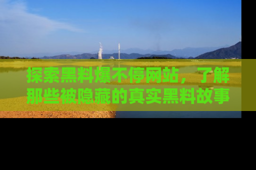 探索黑料爆不停网站，了解那些被隐藏的真实黑料故事