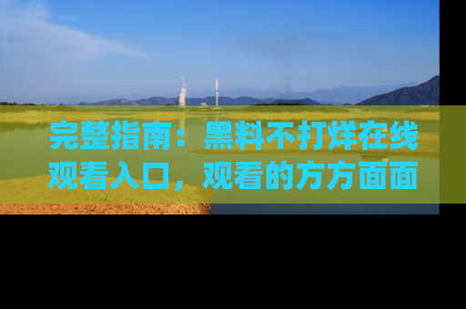 完整指南：黑料不打烊在线观看入口，观看的方方面面与app选择