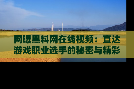 网曝黑料网在线视频：直达游戏职业选手的秘密与精彩动漫片段！