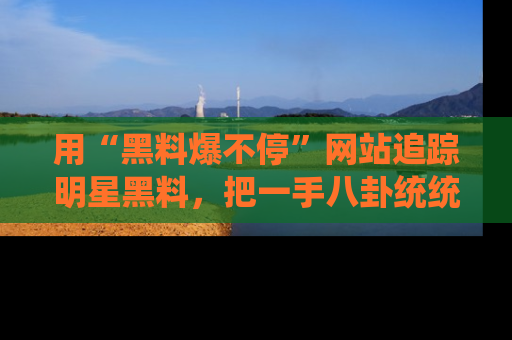 用“黑料爆不停”网站追踪明星黑料，把一手八卦统统收进你的后宫中！