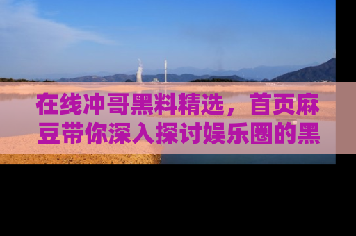 在线冲哥黑料精选，首页麻豆带你深入探讨娱乐圈的黑暗面