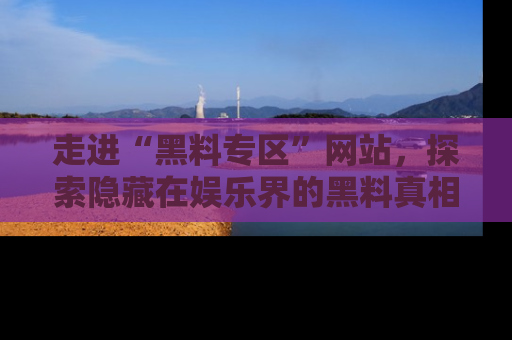走进“黑料专区”网站,探索隐藏在娱乐界的黑料真相